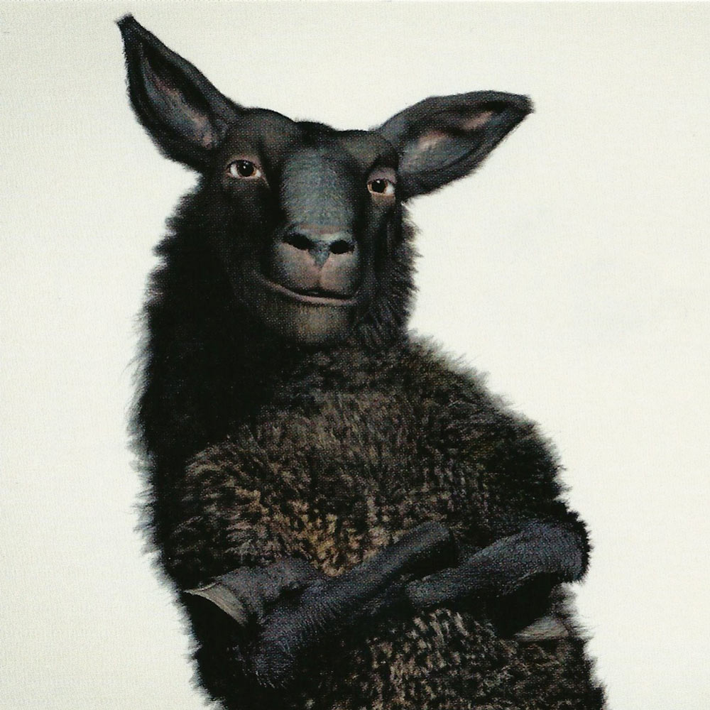 Black Sheep