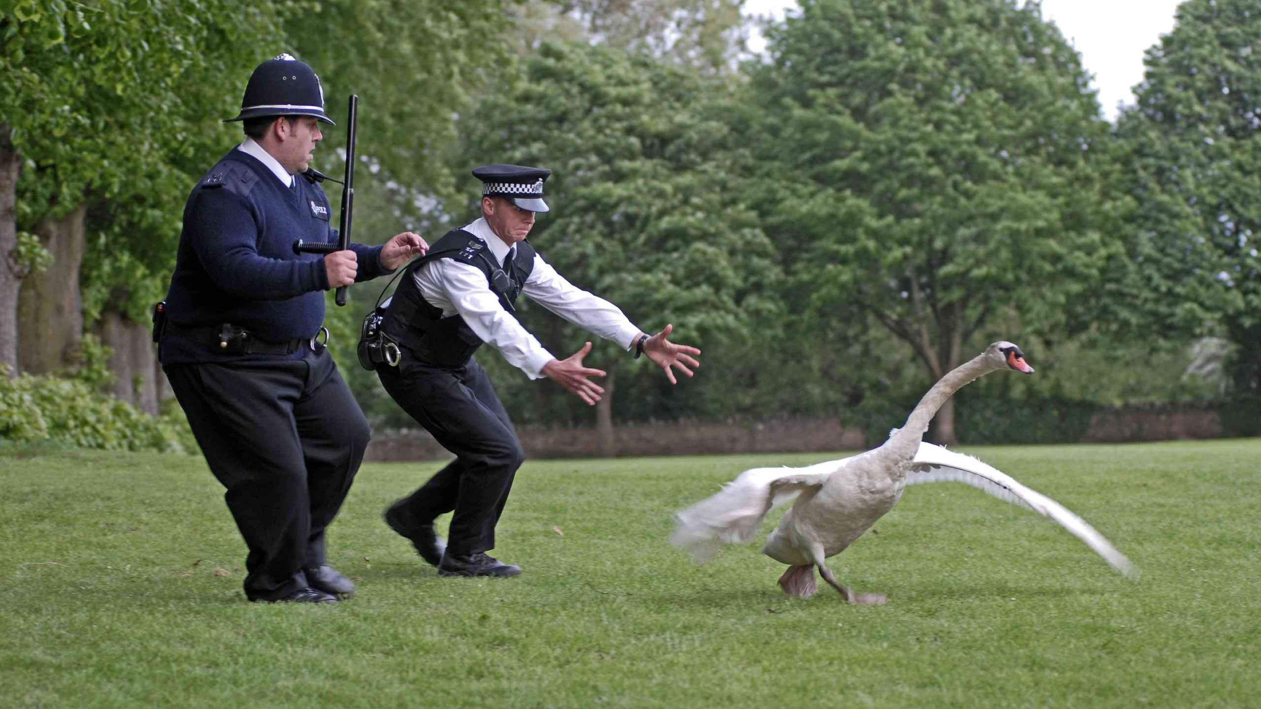 Hot Fuzz