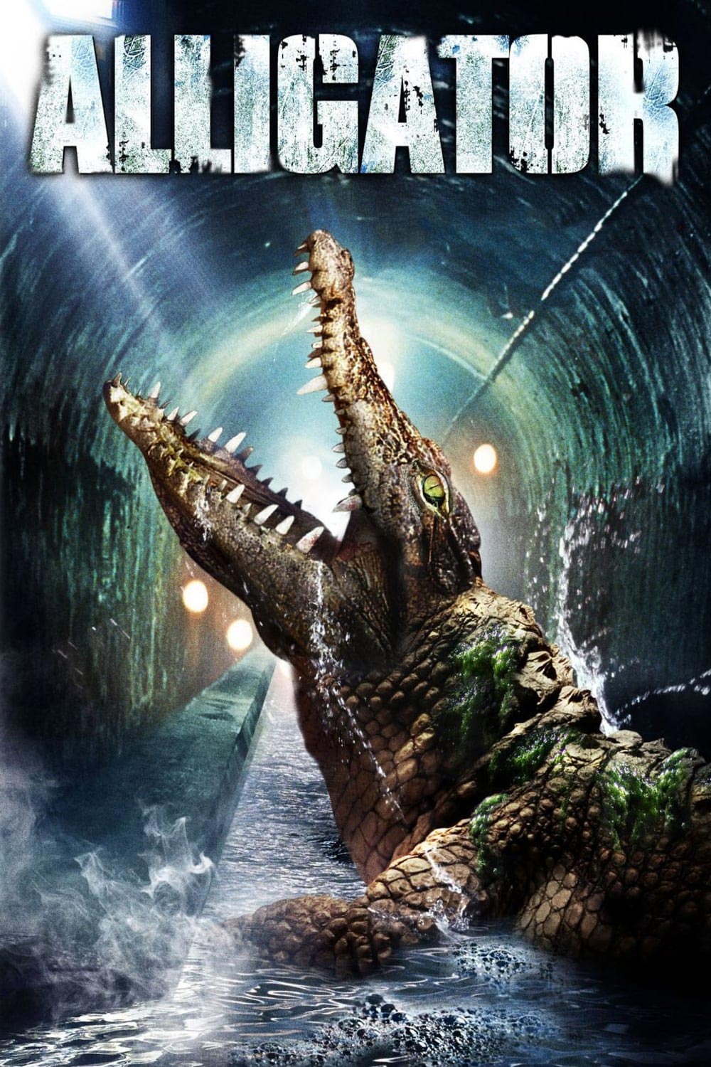 Alligator Poster