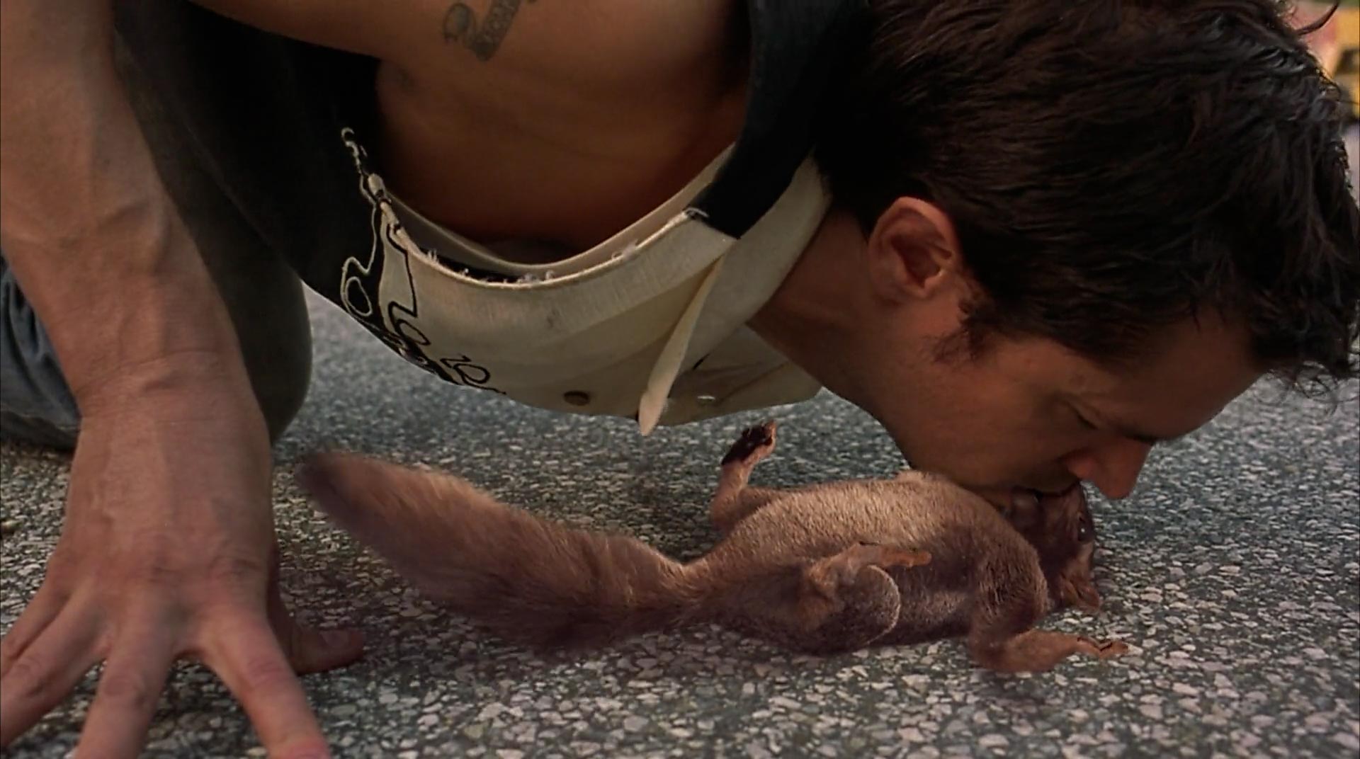 Johnny Knoxville resuscitating a squirrel in A Dirty Shame