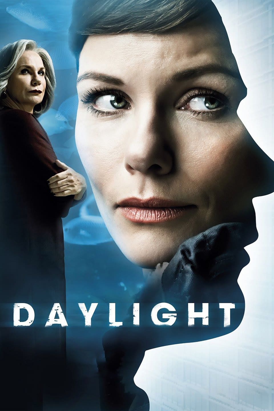 Daglicht poster