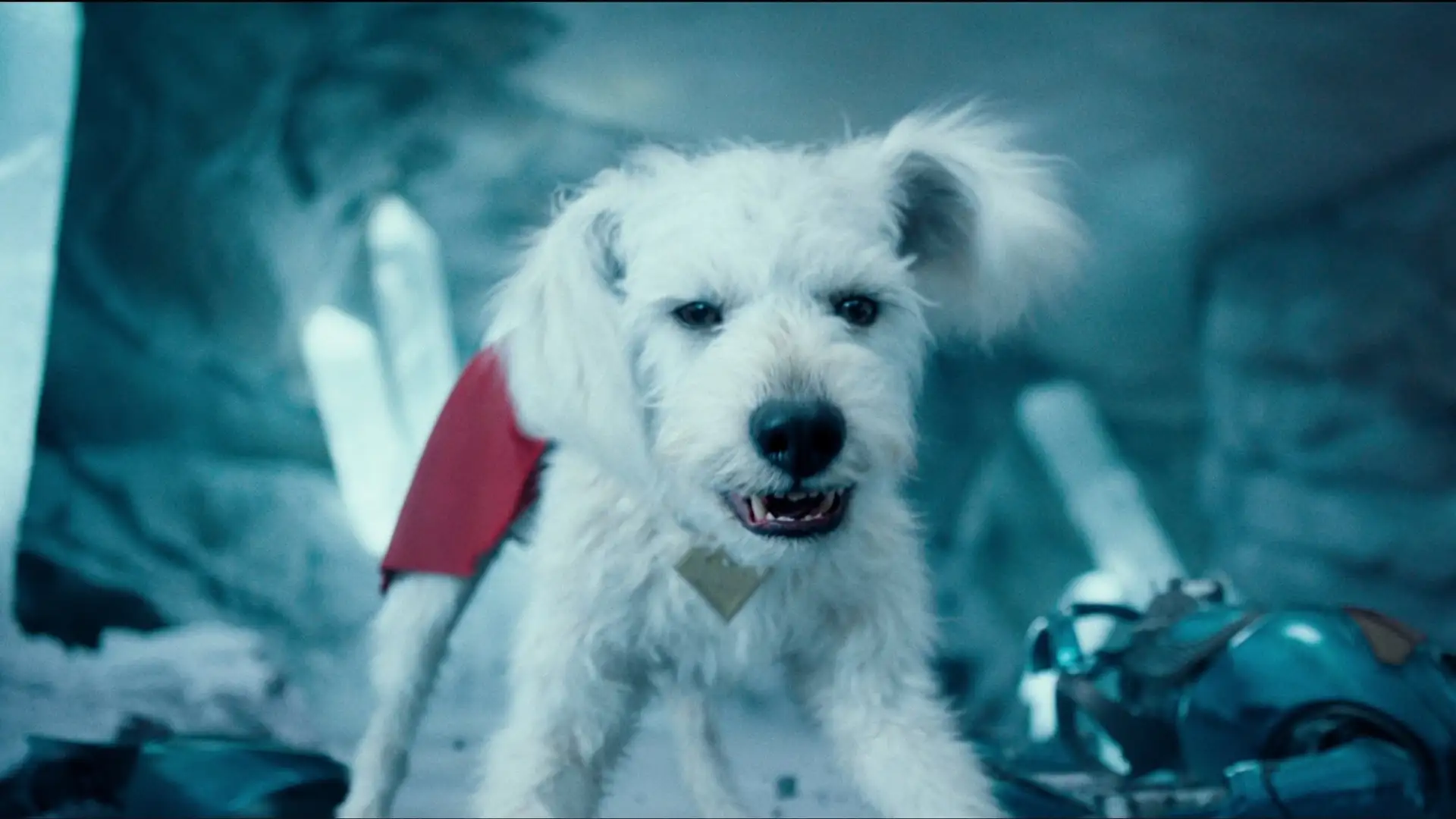 Krypto the dog in Superman (2025)