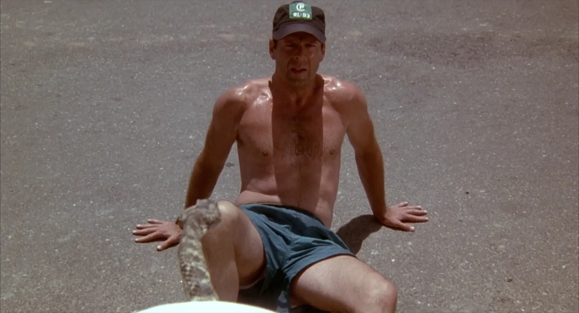 Bruce Willis vs. a Rattle snake in Color of Night
